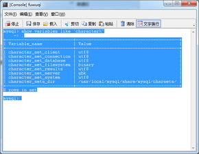 數據庫編碼格式問題的全面解決方案
